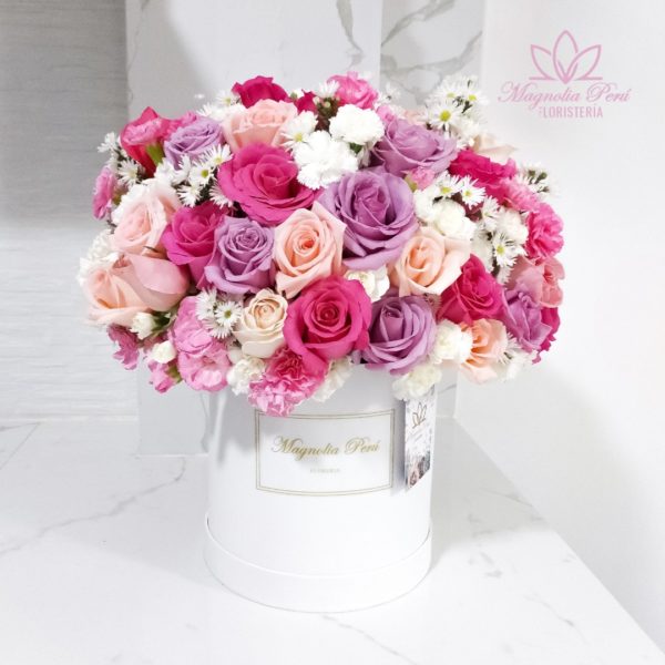 Box Primavera