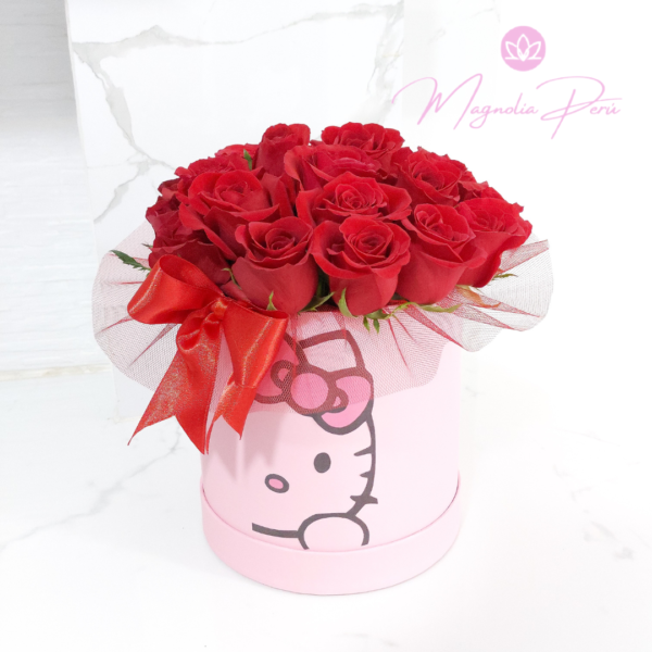 Box Hello Kitty