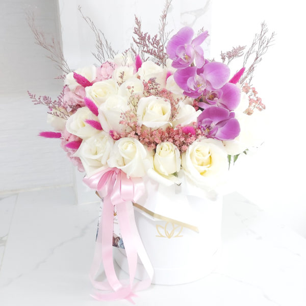 Box Orquidea