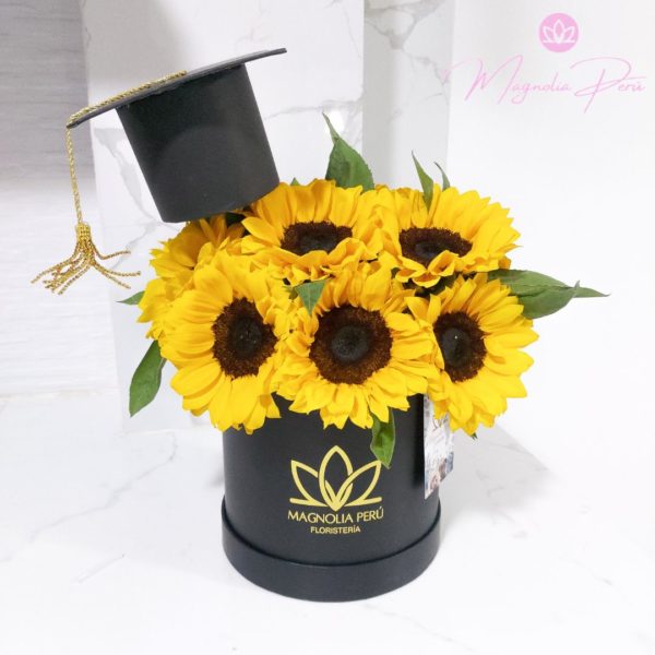 Box Girasol Graduado