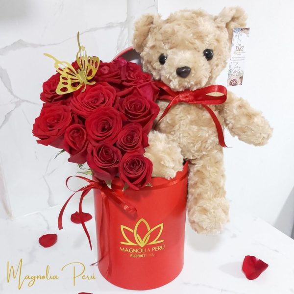 Box Oso Valentin